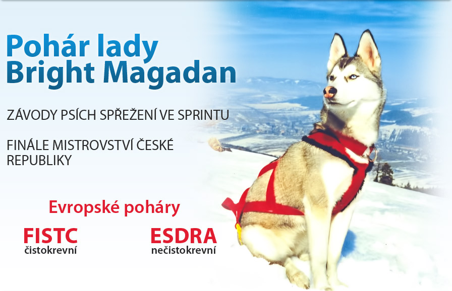 Pohár lady Bright Magadan
